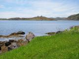 Red Bay Labrador